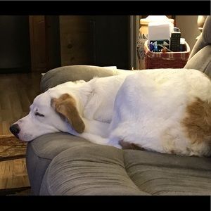 Meet your Posher, Kathleen